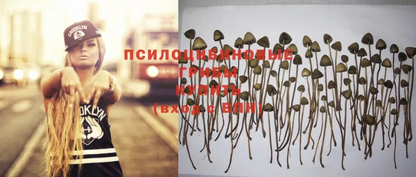 дмт Медногорск