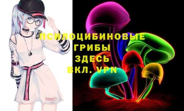 дмт Медногорск